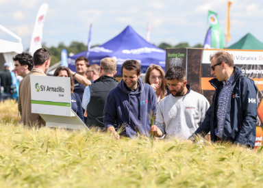 Cereals – The Arable Event Feature Image